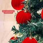 Dimora Sanfelice Nyaraló *